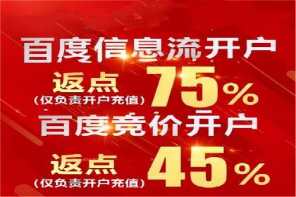 SEM代运营机构成功案例：优化策略与效果分析